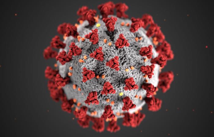 this image shows the covid-19 virus