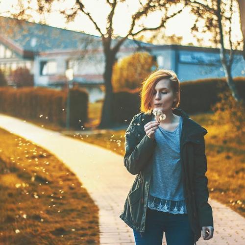 Fall Day